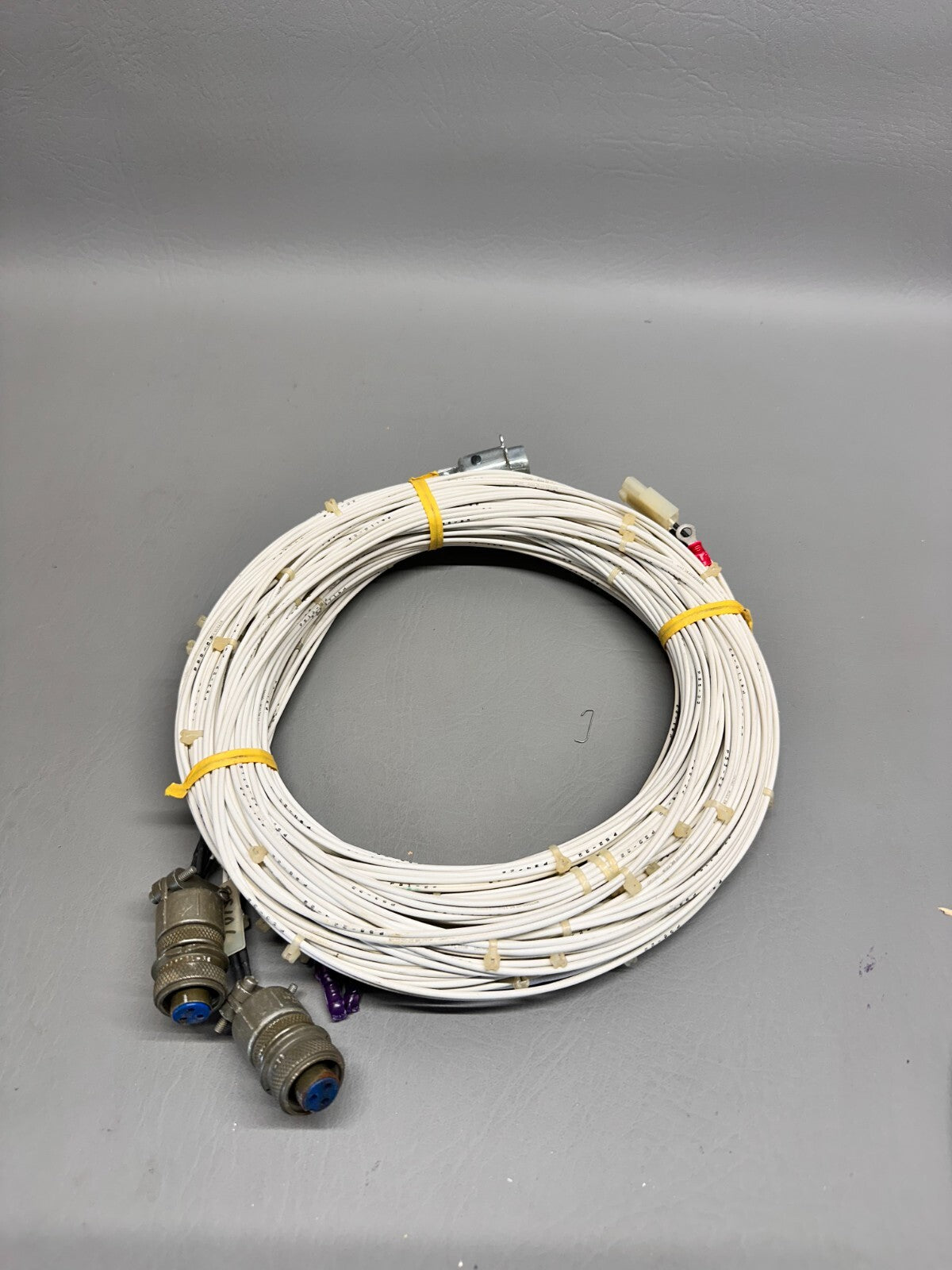 49695-004 Piper Harness