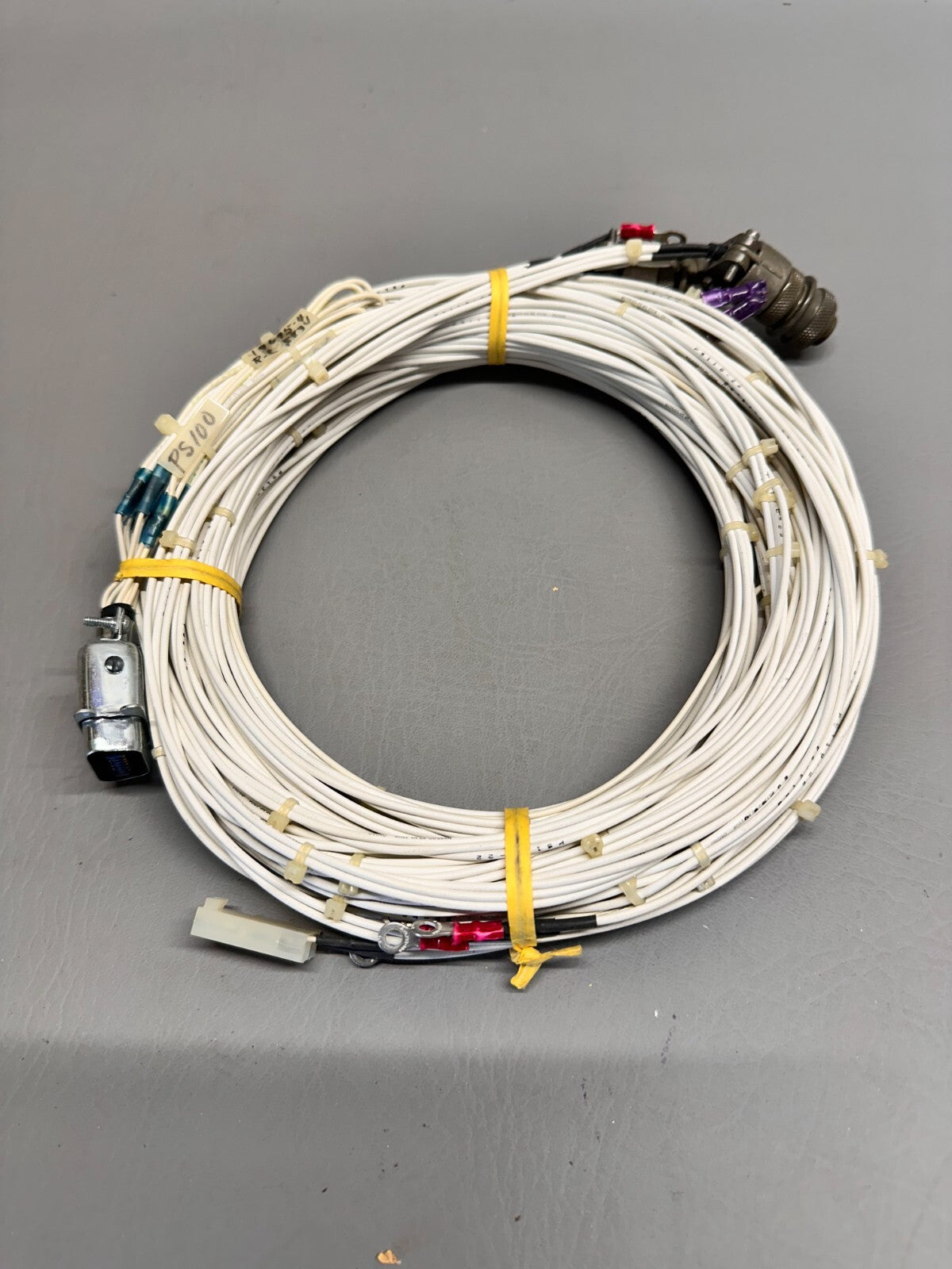 49695-004 Piper Harness